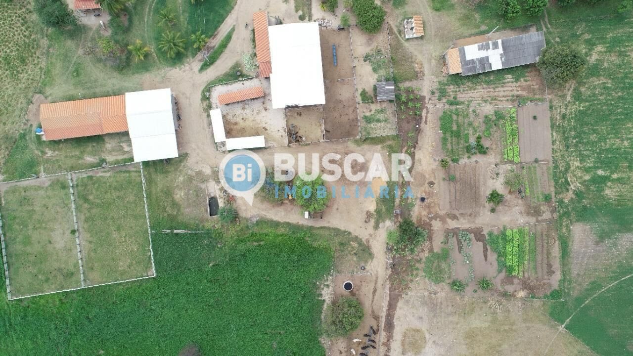 Rural à venda com 1610000m² de terreno no Centro, Iaçu (BA) — foto 9 de 17