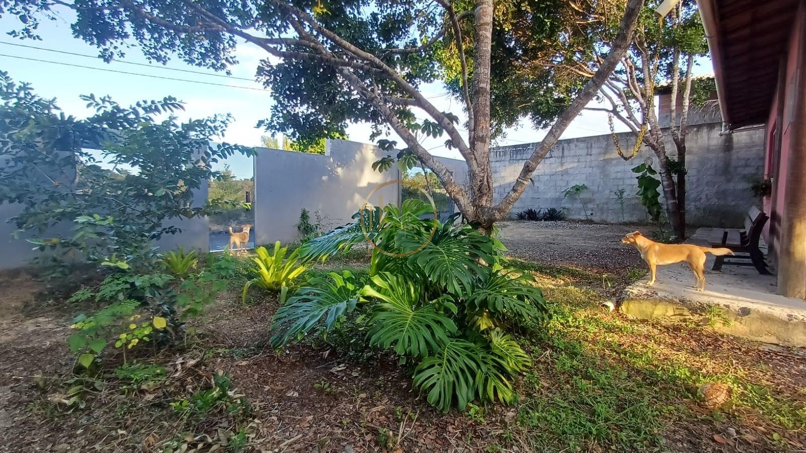 Casa à venda com 3 quartos, 1 suíte, 2 vagas e 130m² no Miramar, Porto Seguro (BA) — foto 10 de 20
