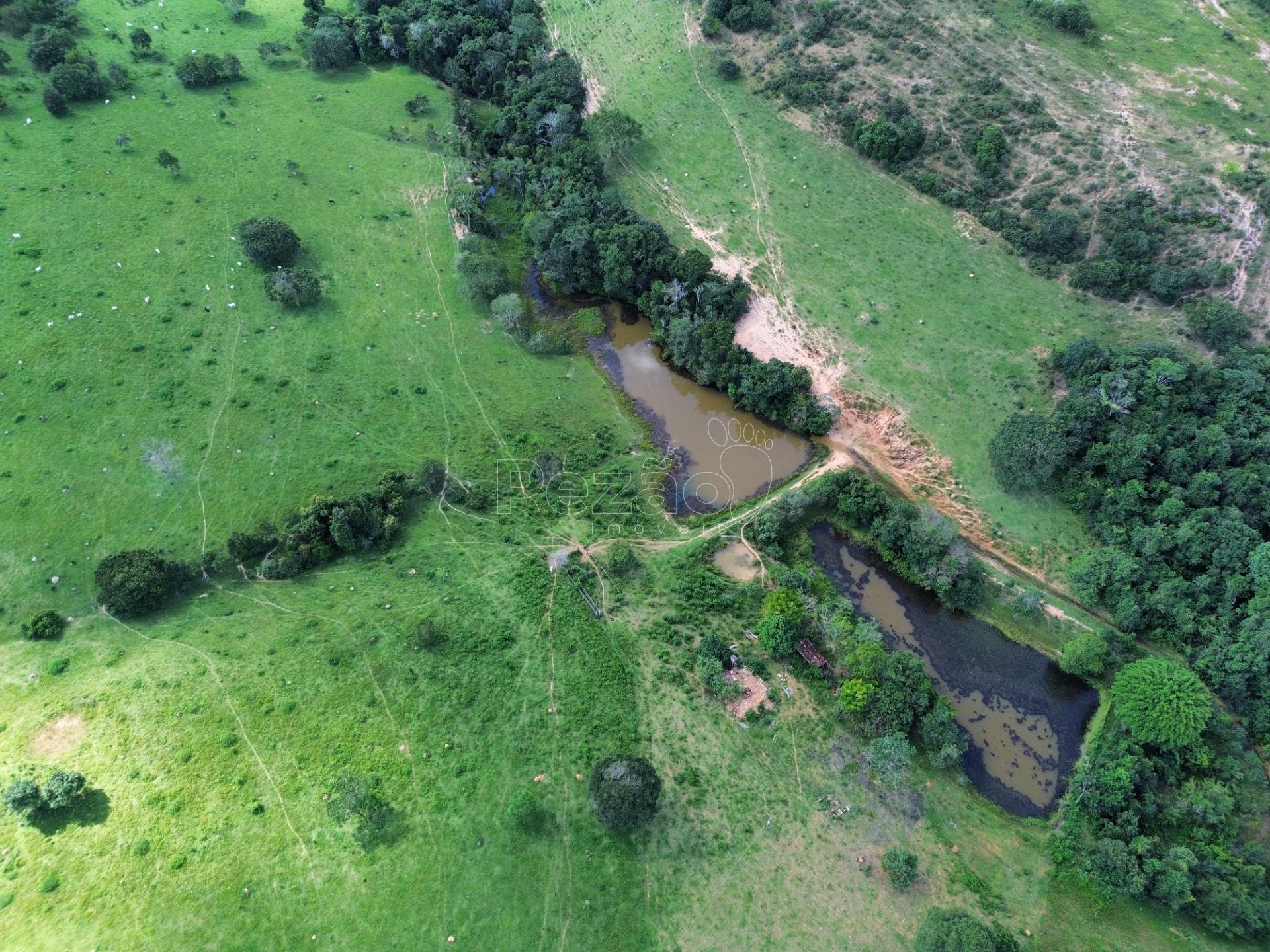 Rural à venda no Fazenda, Itapuranga (GO) — foto 5 de 11