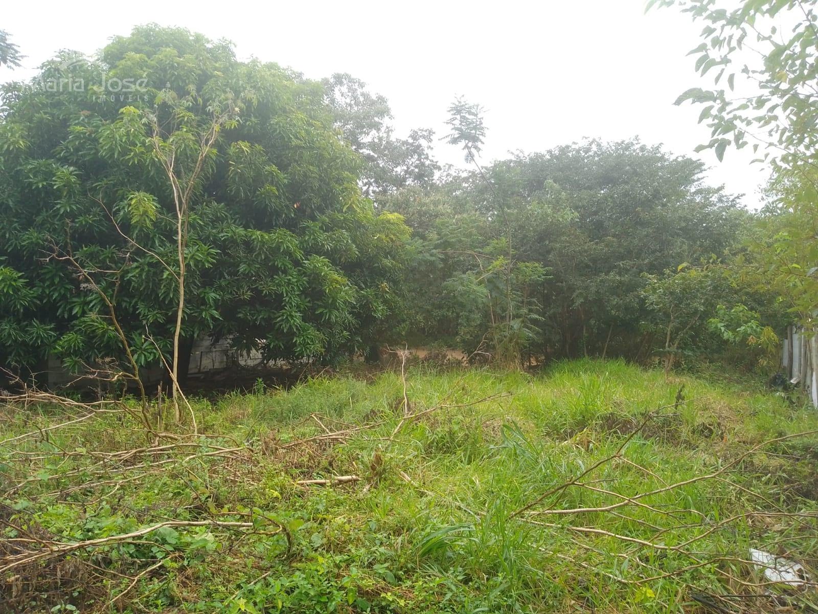 Casa à venda com 3 quartos, 1 suíte e 4 vagas no São Vicente, Cachoeira da Prata (MG) — foto 15 de 17