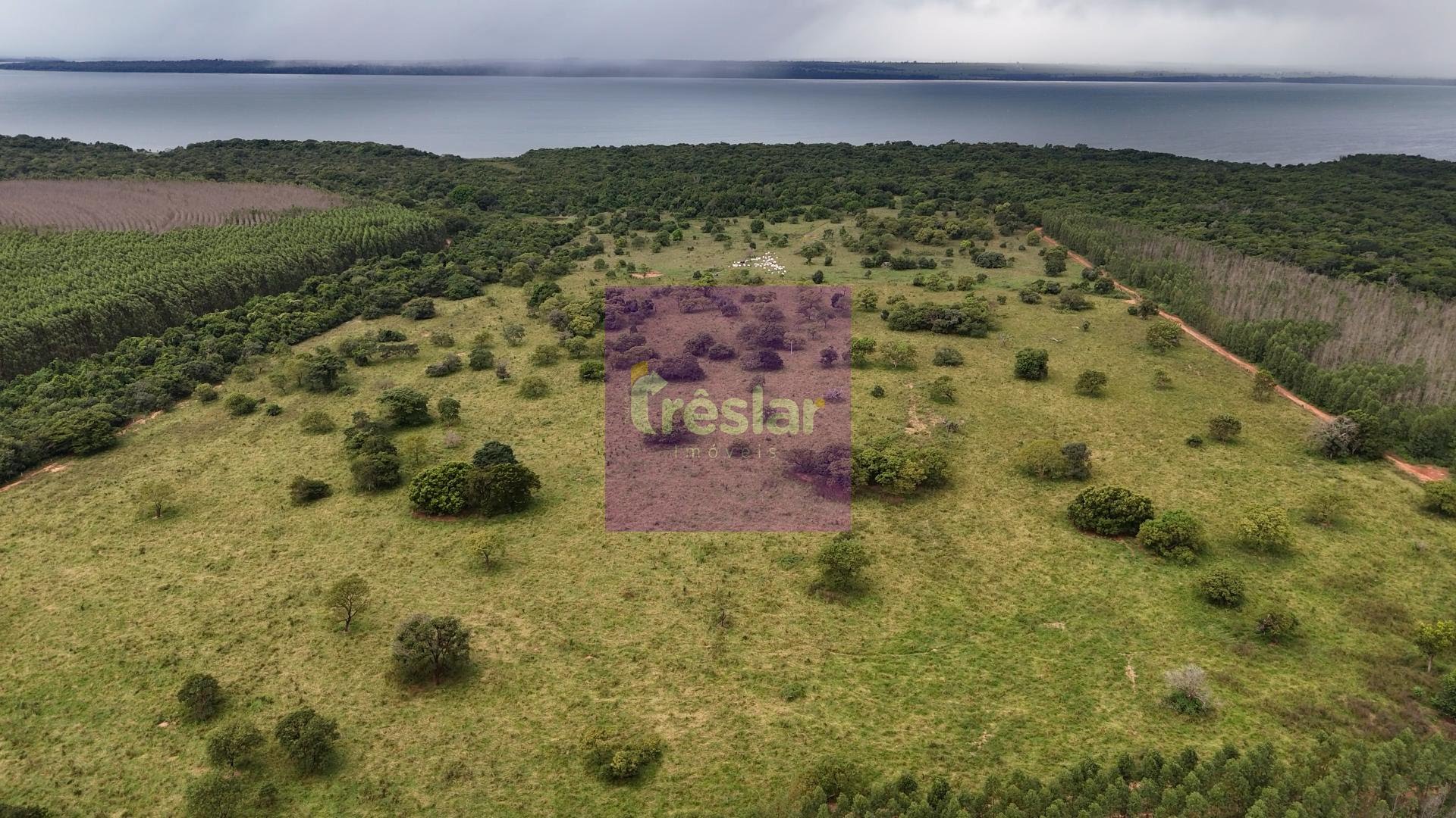 Rural à venda com 710000m² de terreno no Fazenda, Três Lagoas (MS) — foto 3 de 7
