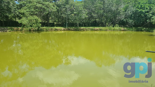 Fazenda em Rural  -  São Gonçalo do Pará