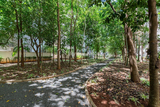 Apartamento, 3 quartos, 69 m² - Foto 22