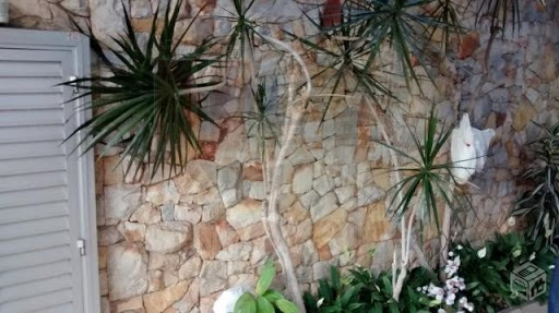 Jardim