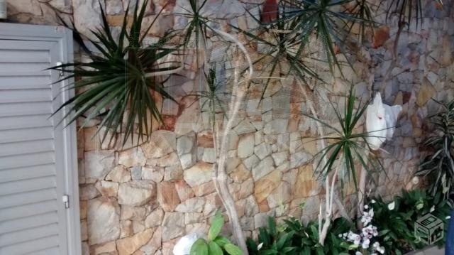 Jardim