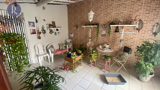 Casa no Olho D'Água com 3 Suítes e Espaço para sua Família
