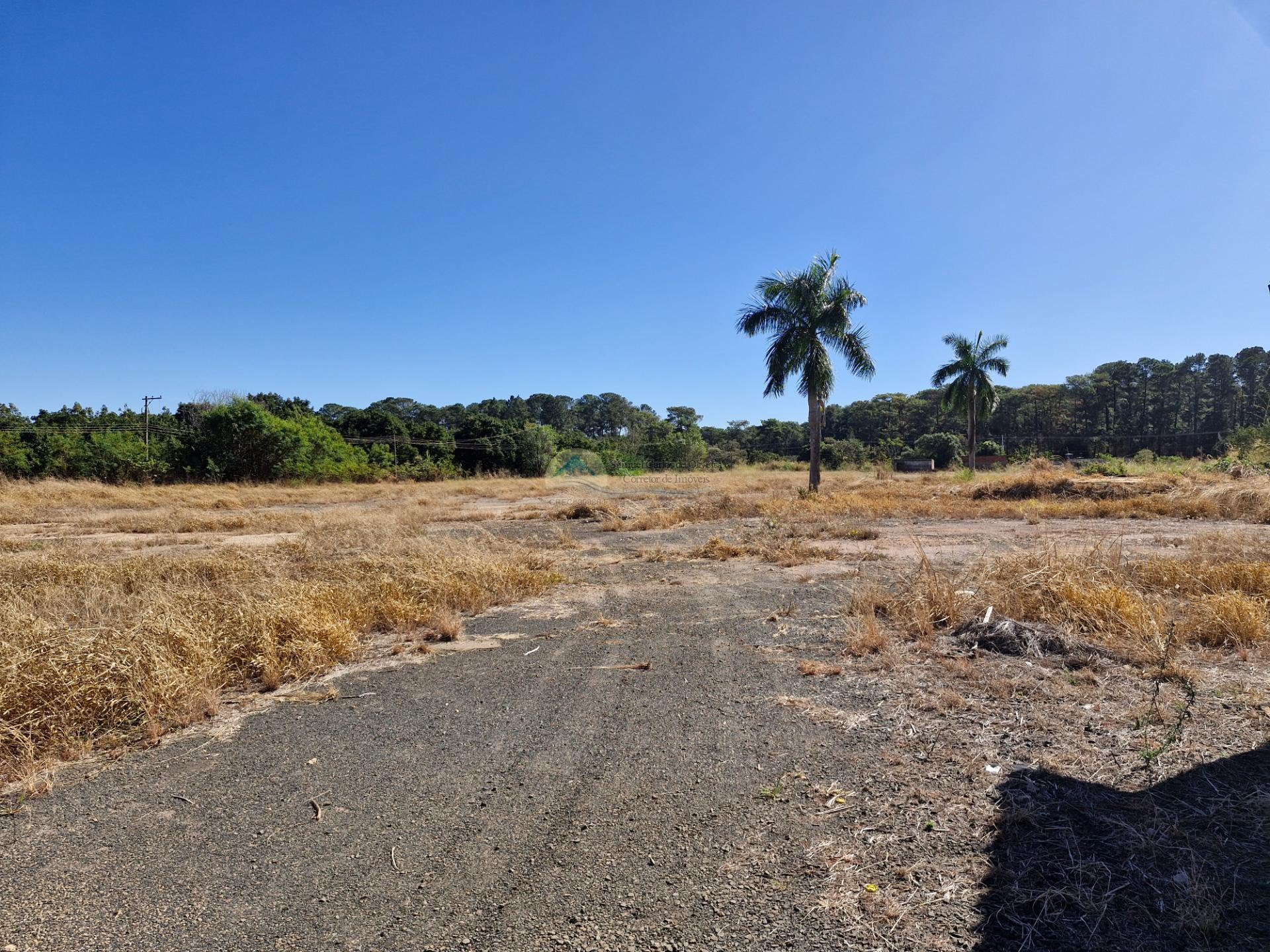 Área a venda em Casa Branca SP