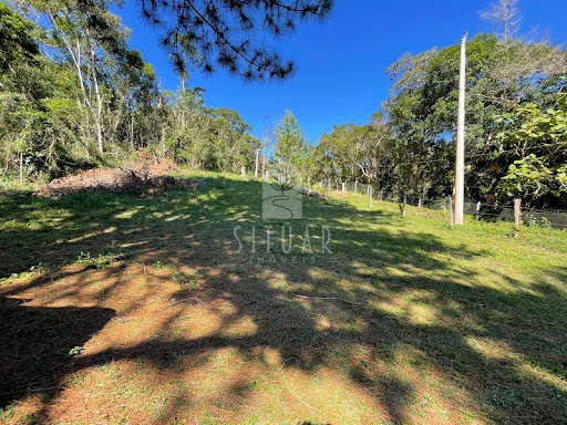 Foto 07
