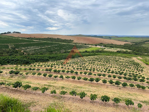 Fazenda em Capitólio-MG