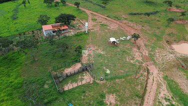 Fazenda em fazenda  -  Ouvidor