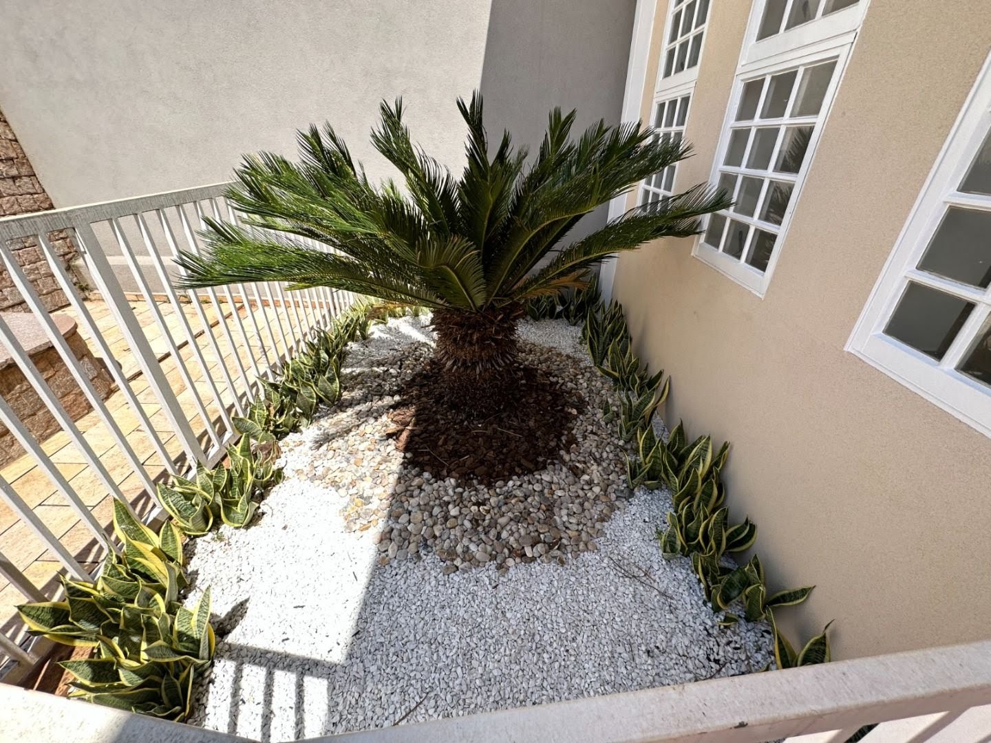 Casa à venda com 5 quartos, 3 suítes, 5 vagas e 324m² no Vila Tibério, Ribeirão Preto (SP) — foto 10 de 30