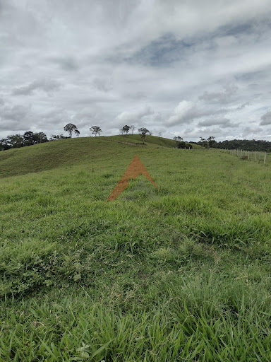 Fazenda em Cruzília/MG