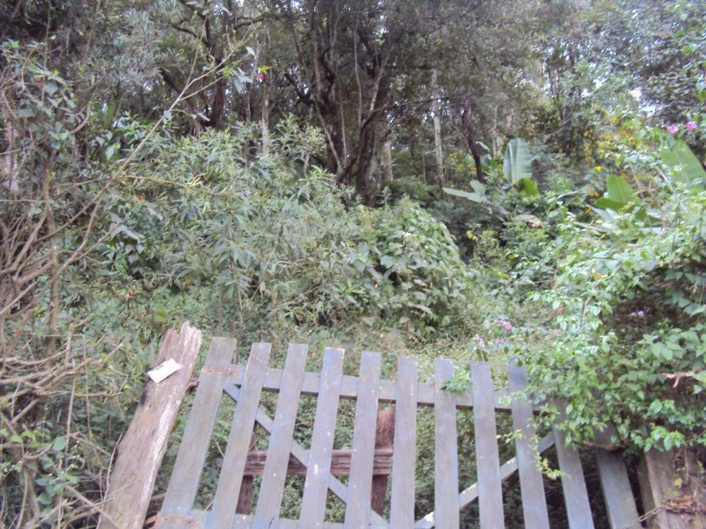 Comercial à venda com 25283m² no Jardim Josely, Arujá (SP) — foto 8 de 10