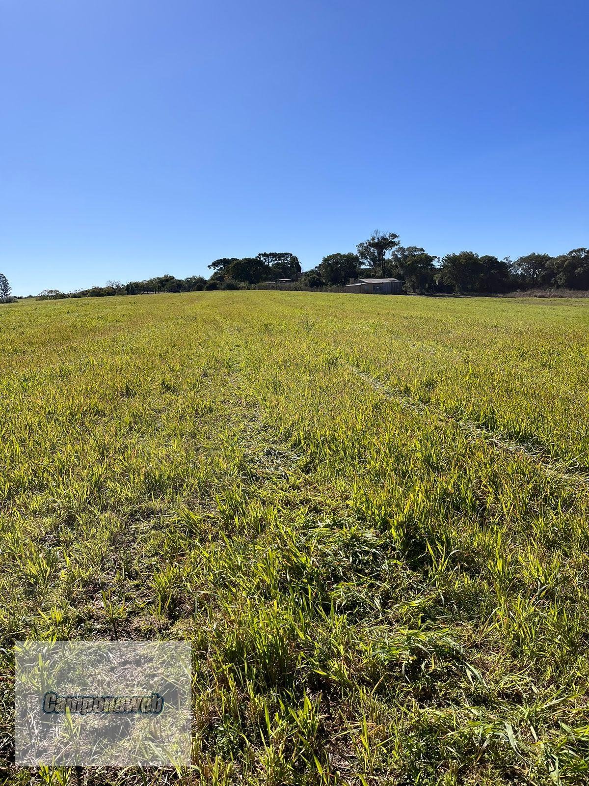 Compra de fazenda em Pantano Grande