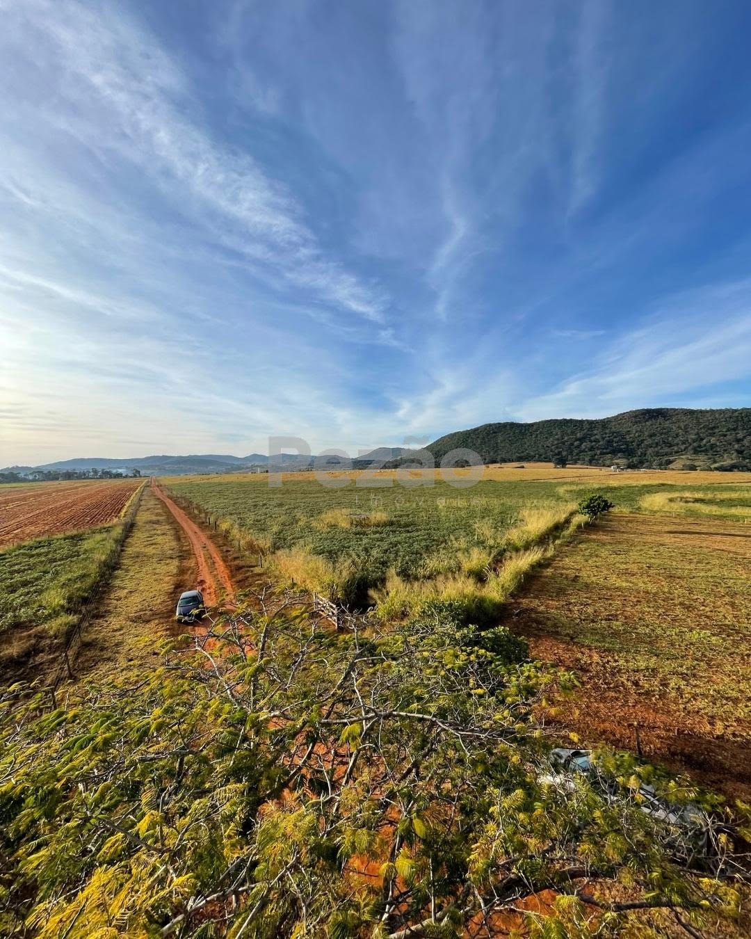 Rural à venda com 150040m² de terreno no Zona Rural de Heitoraí, Heitoraí (GO) — foto 17 de 20
