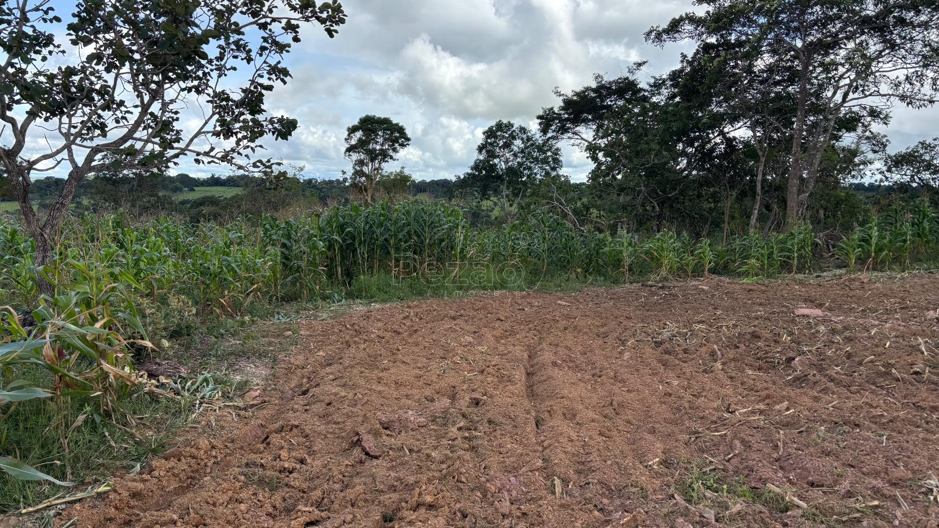 Rural à venda com 50000m² de terreno no Zona Rural, Itapuranga (GO) — foto 14 de 30