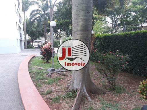 Jardim