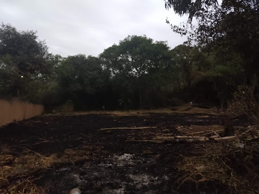 Chácara em Marechal Castelo Branco  -  Itaperuna