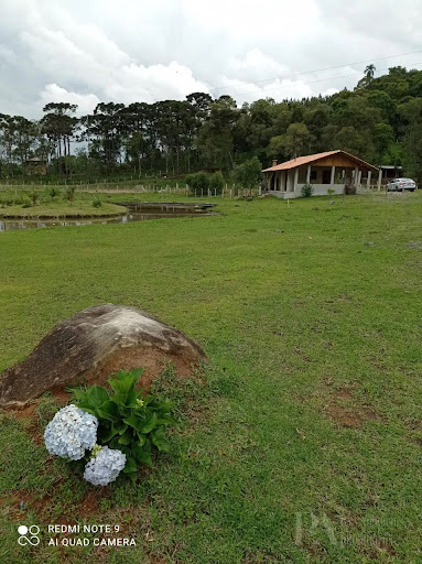 Chácara em  Trigolândia  -  Piên