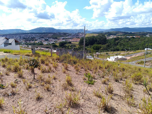 lote 