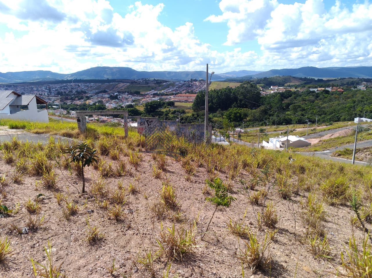 lote 