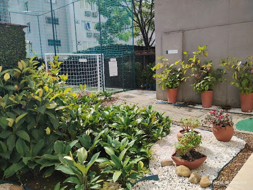 Jardim 