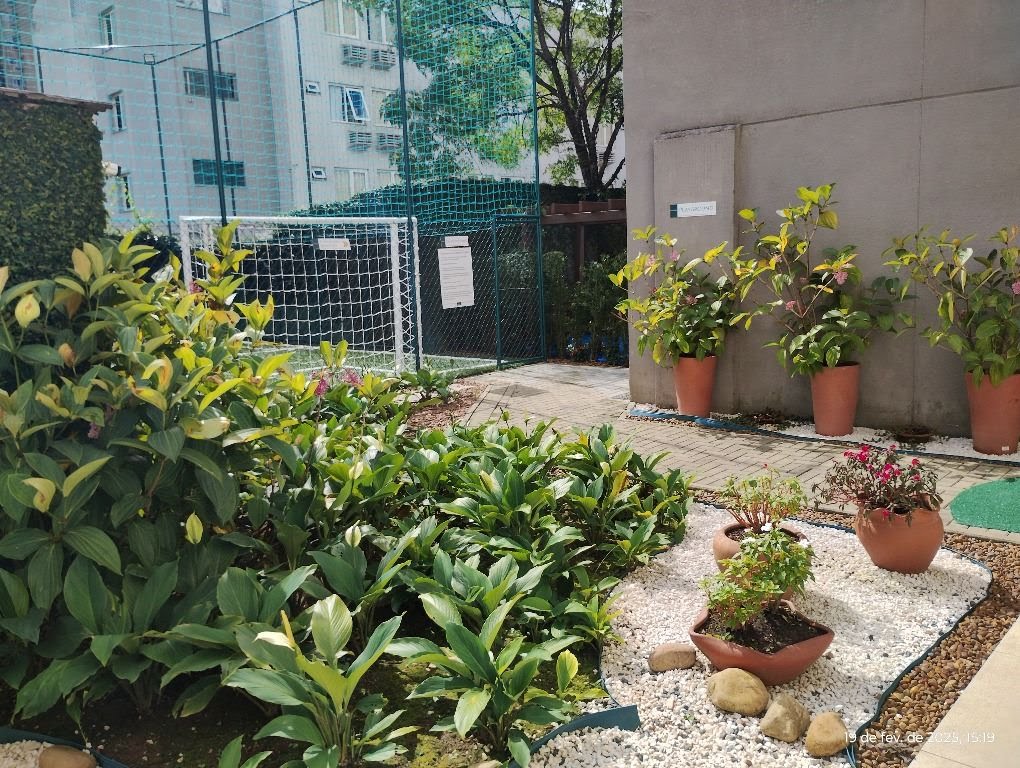 Jardim 