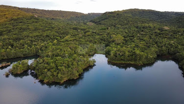 Fazenda em Zona Rural  -  Uberlândia