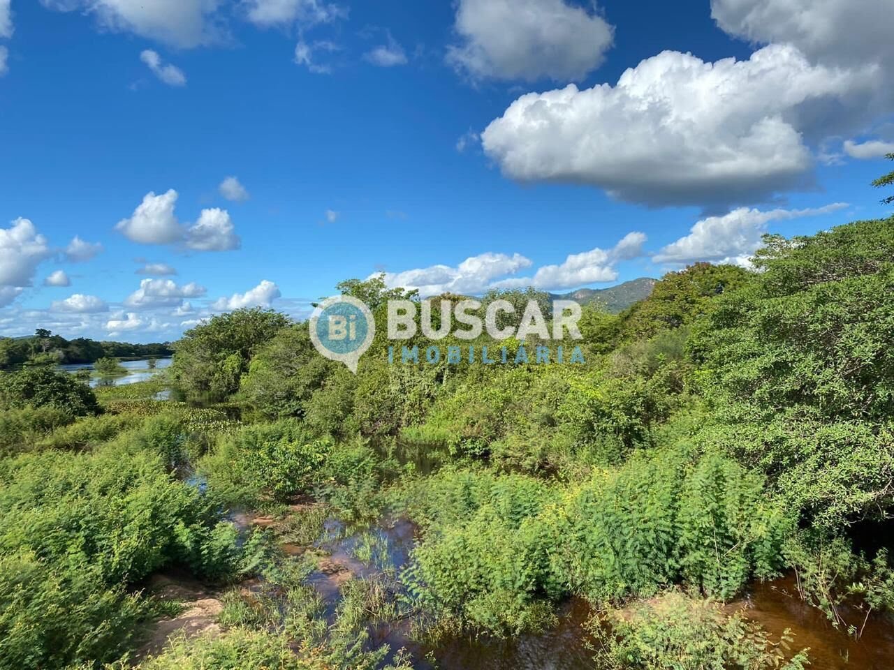 Rural à venda com 1610000m² de terreno no Centro, Iaçu (BA) — foto 10 de 17