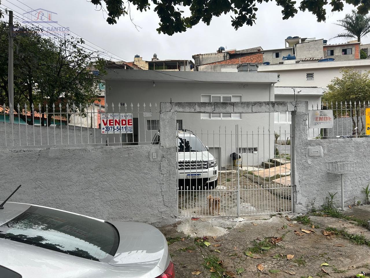 Frente