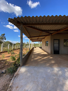 Fazenda em Área Rural de Uberlândia - Uberlândia