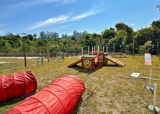 Terreno, 12 m² - Foto 12