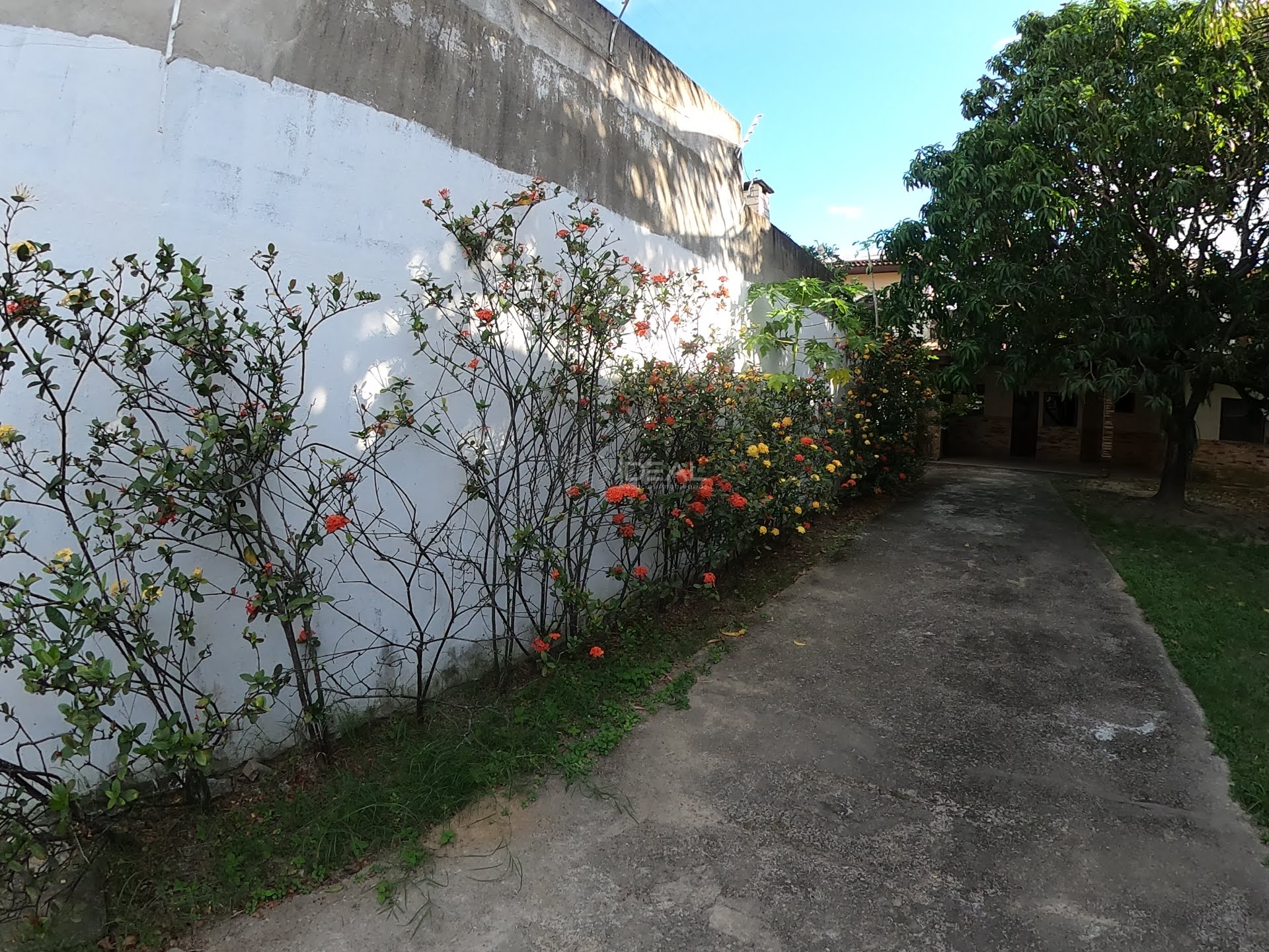Casa para venda ou locação no Parque Juliao Nogueira - Campos dos Goytacazes, RJ