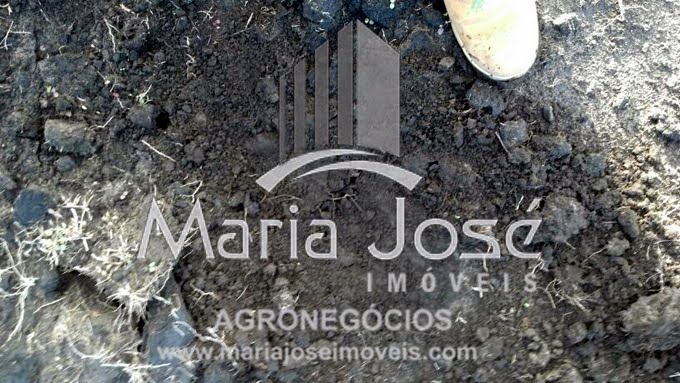 Rural à venda com 1596m² de terreno no Zona Rural de São Francisco, São Francisco (SP) — foto 10 de 17