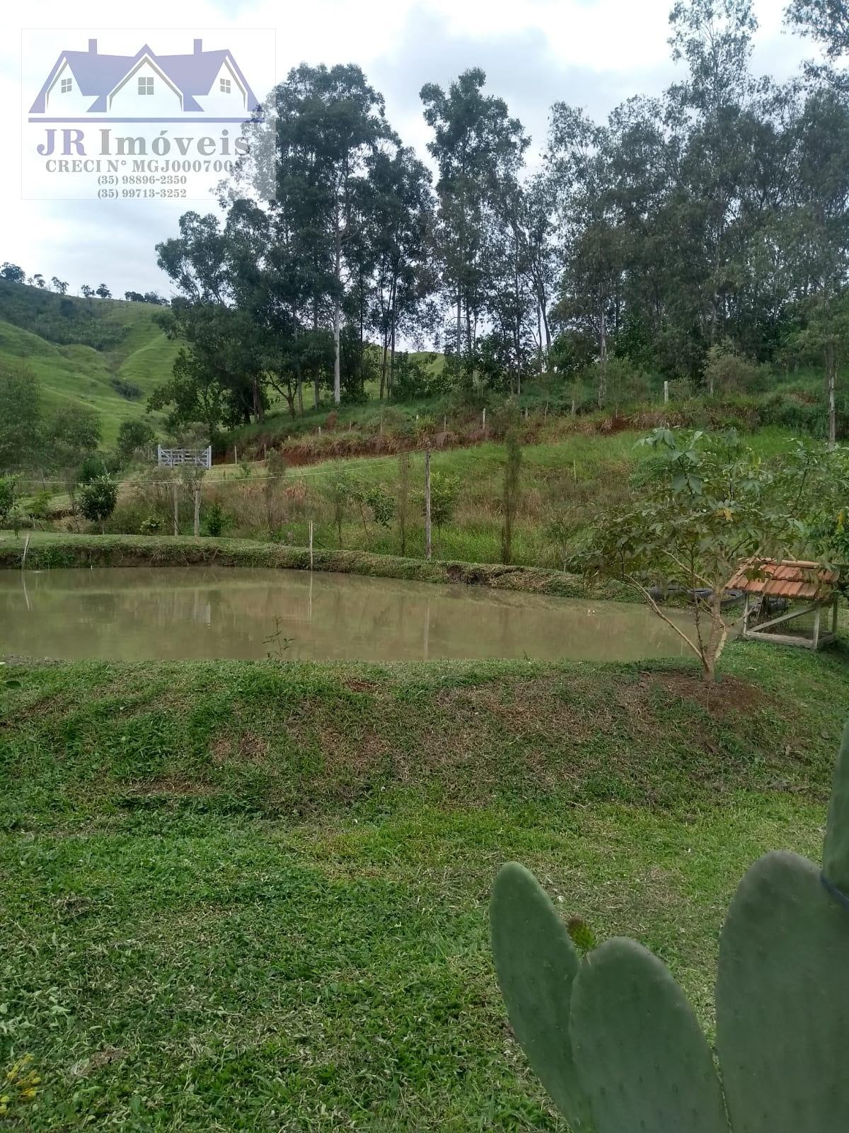 Rural à venda com 8400m² de terreno no Sertãozinho, Pedralva (MG) — foto 11 de 30