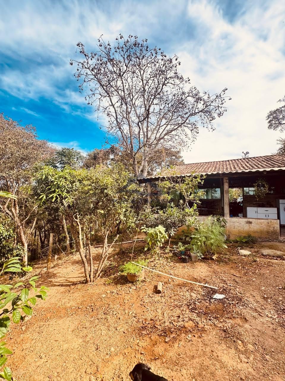 Rural à venda com 7000m² de terreno no Andiroba, Esmeraldas (MG) — foto 22 de 26