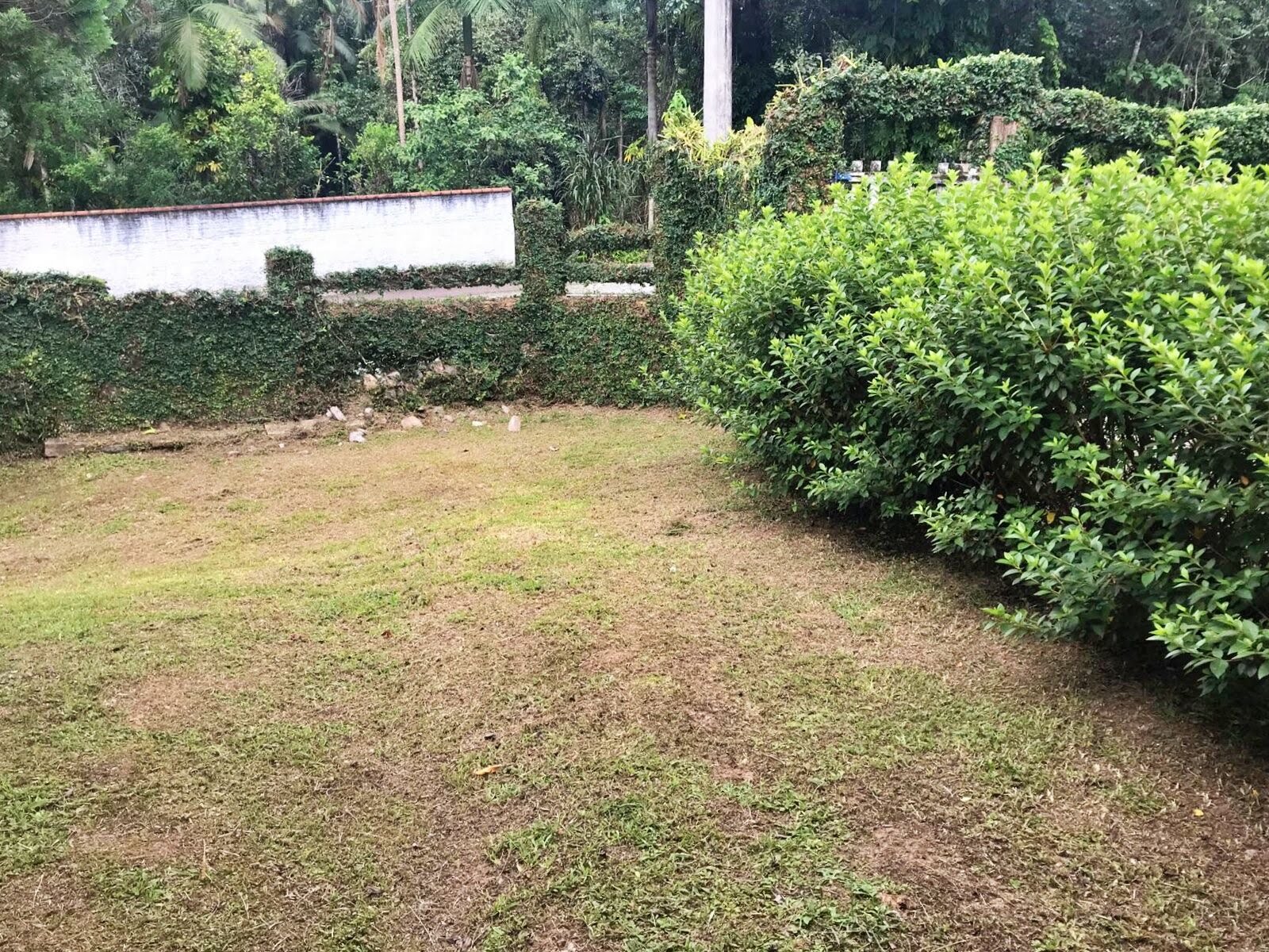 Terreno à venda com 5804m² de terreno no Sul do Rio, Santo Amaro da Imperatriz (SC) — foto 6 de 18