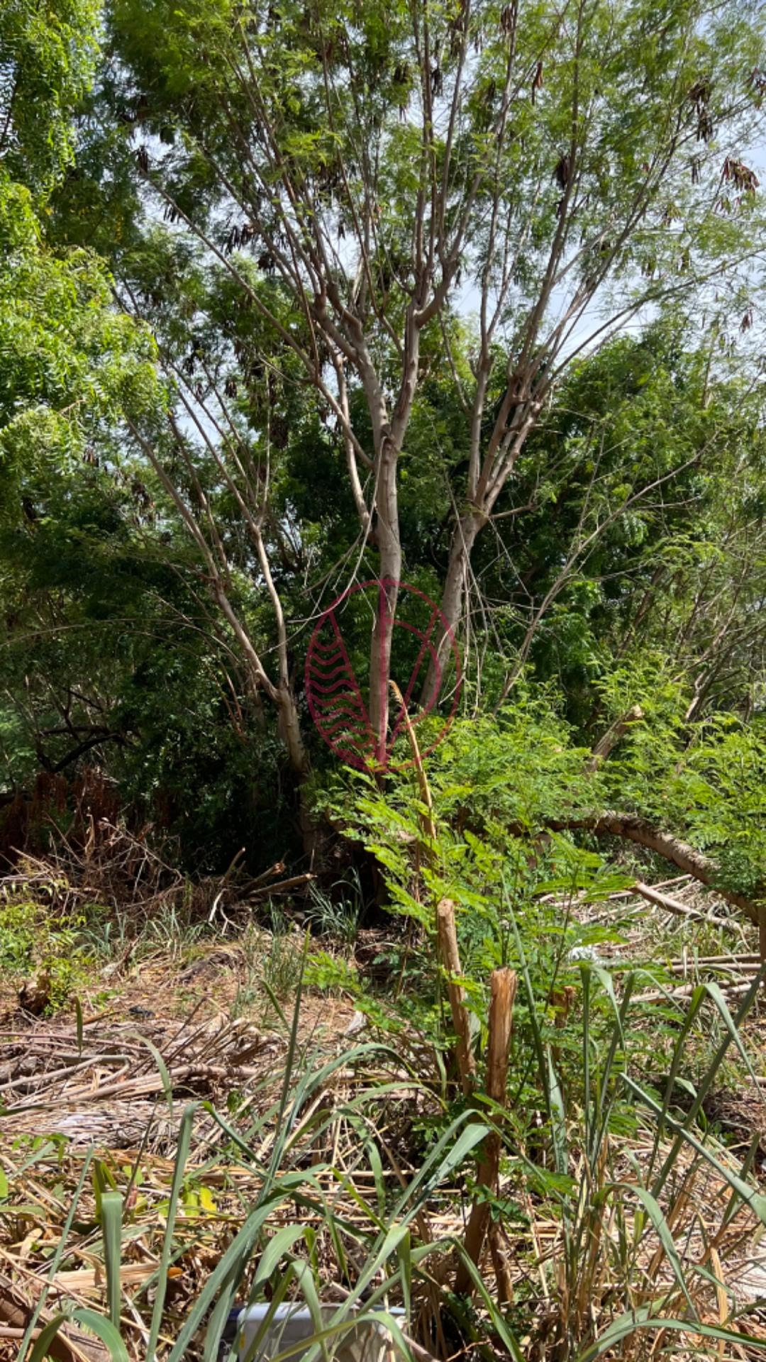 Terreno à venda com 471m² de terreno no Vilas do Atlântico, Lauro de Freitas (BA) — foto 7 de 9