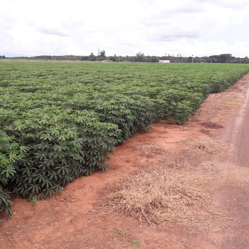 8 Hectares Próximo Mini Anel Campo Grande