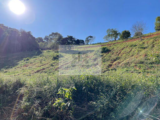 Sítio em Estrada Cataguases x Santana  -  Cataguases