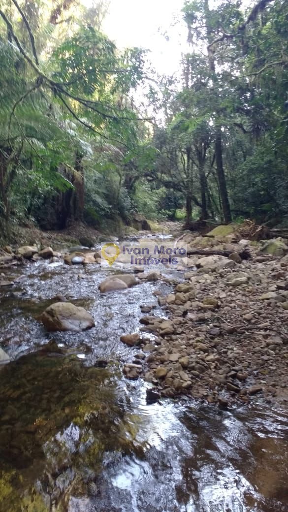Rural à venda com 150000m² de terreno no Rio Braço do Norte, Anitápolis (SC) — foto 3 de 10