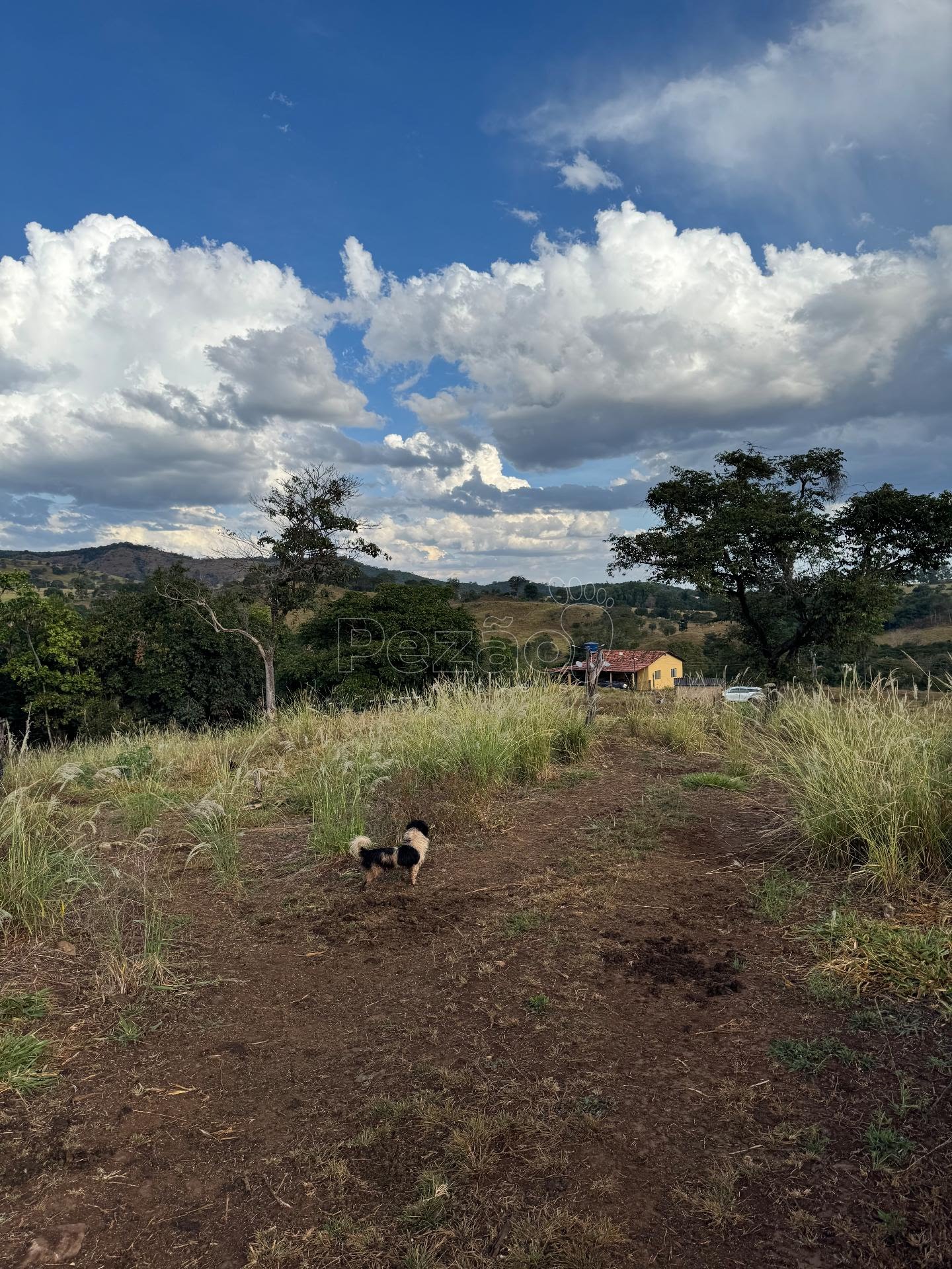Rural à venda com 308355m² de terreno no Zona Rural de Heitoraí, Heitoraí (GO) — foto 29 de 29