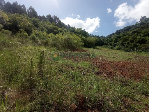 Sítio / Chácara SEM CASA em Linha São José  -  Coronel Pilar