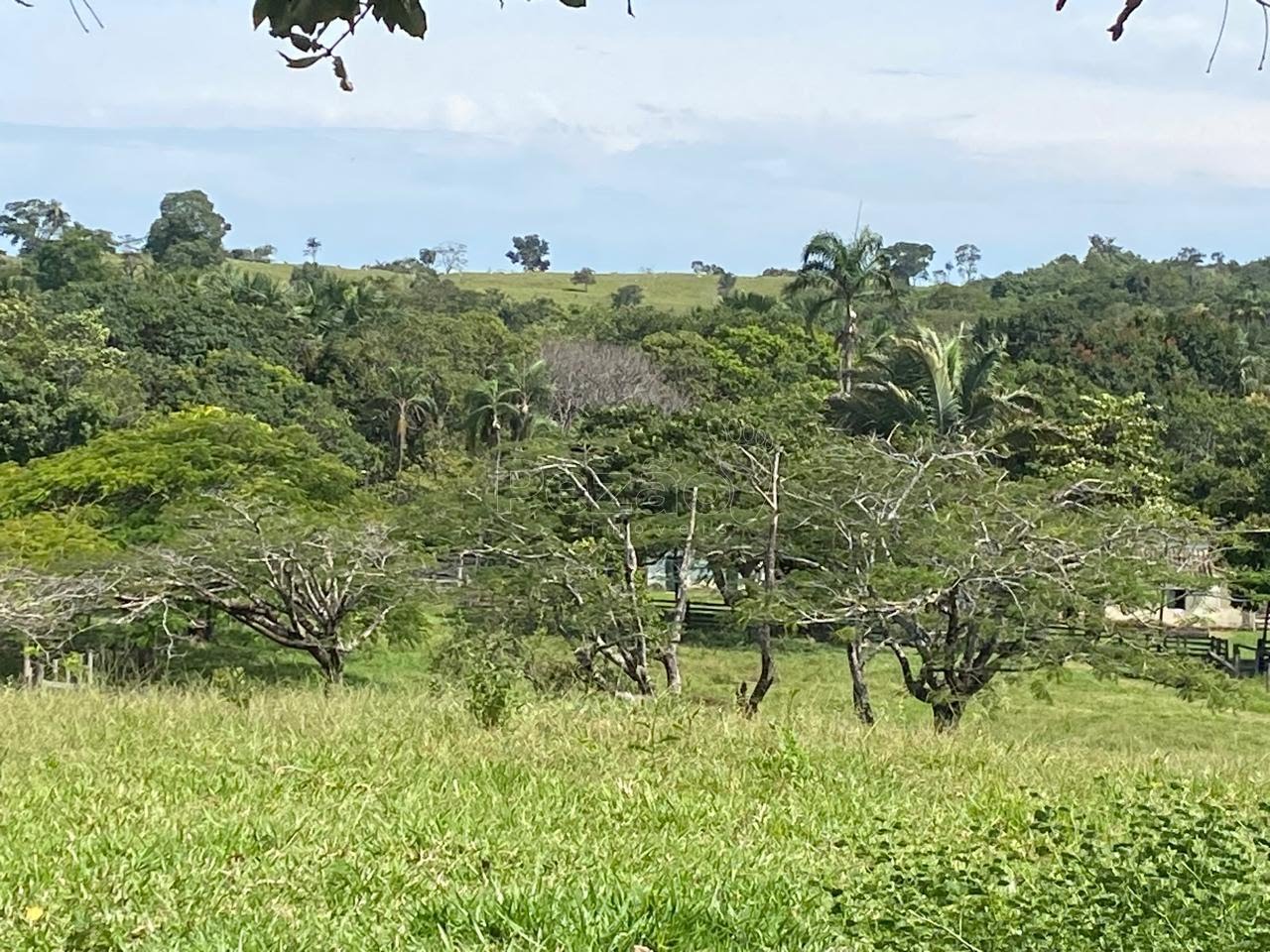 Rural à venda no Zona Rural, Itapuranga (GO) — foto 12 de 18