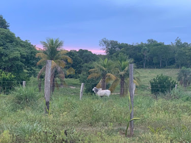 Terreno em São João Del Rei  -  Cuiabá