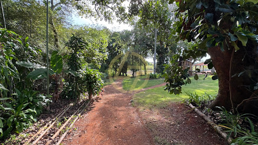 Lote/Terreno Condominio Quinta das Palmeiras - Itapetininga