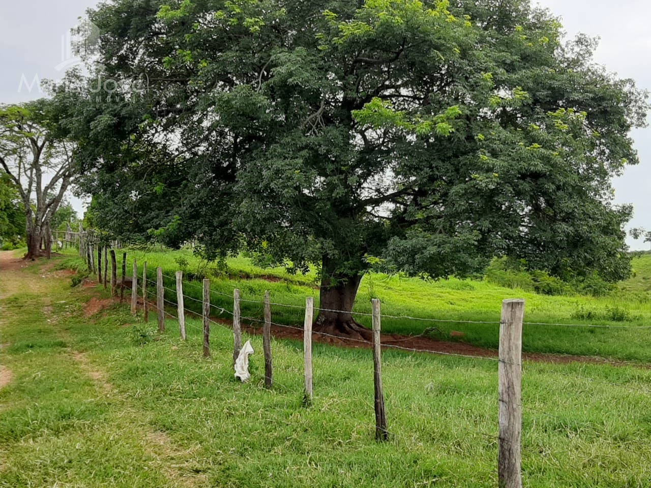 Rural à venda no Zona Rural de Sete Lagoas, Sete Lagoas (MG) — foto 13 de 30