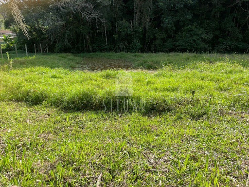 Foto 05