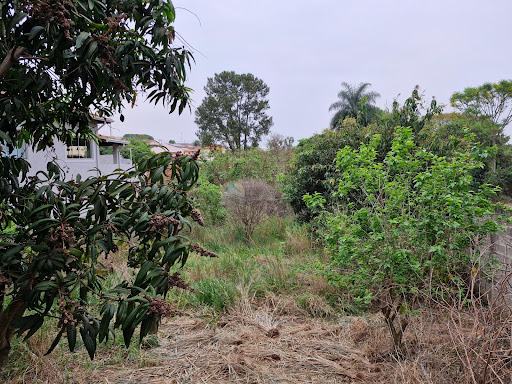 Terreno a venda em Casa Branca SP