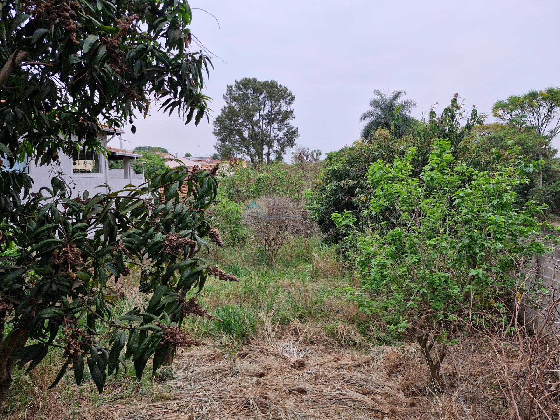 Terreno a venda em Casa Branca SP